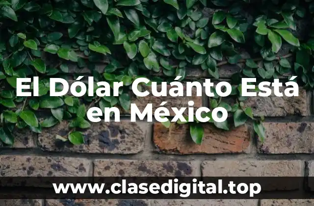 El Dólar Cuánto Está en México