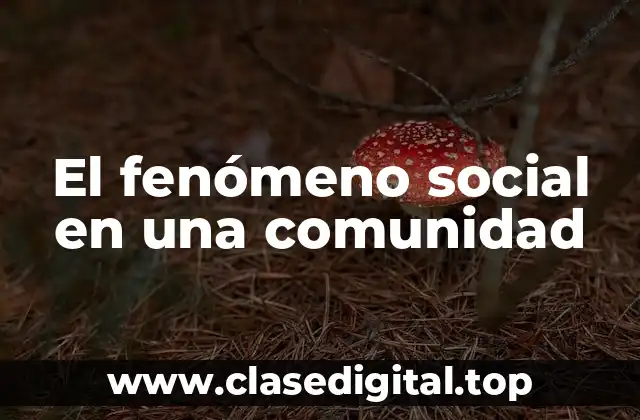 El fenómeno social en una comunidad