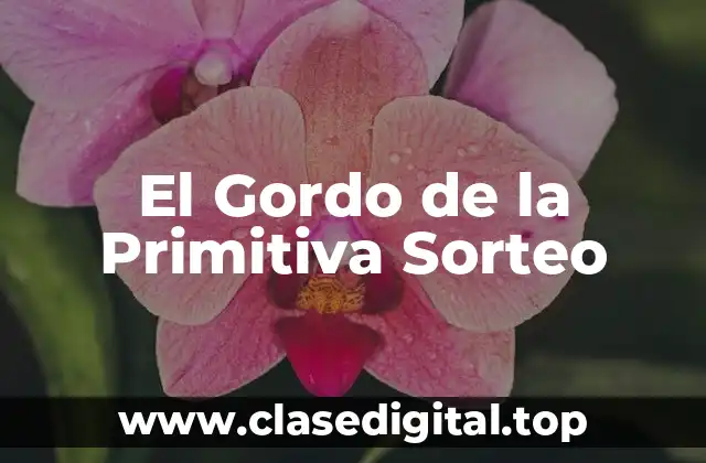 El Gordo de la Primitiva Sorteo