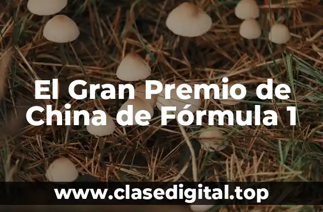 El Gran Premio de China de Fórmula 1