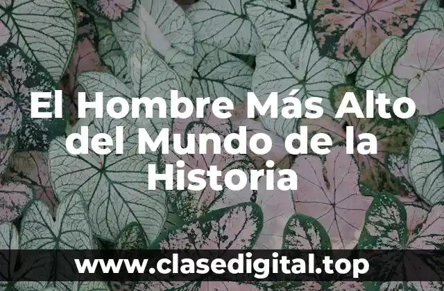 El Hombre Más Alto del Mundo de la Historia