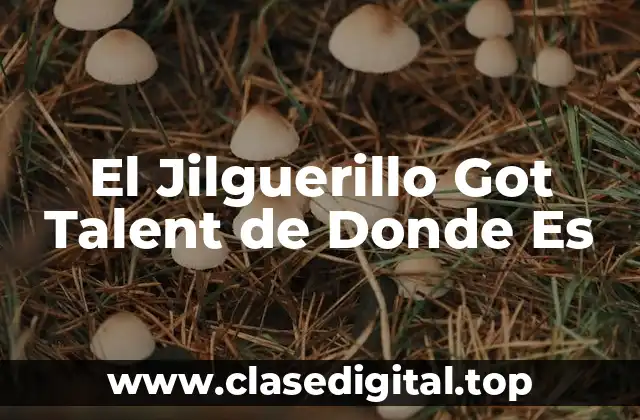 ¿Cuál es el Origen del Jilguerillo Got Talent?