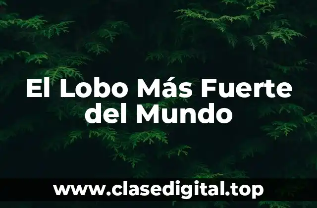 ¿Cuáles Son las Características Físicas de un Lobo Fuerte?