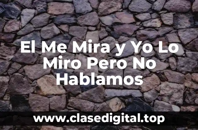 El Me Mira y Yo Lo Miro Pero No Hablamos