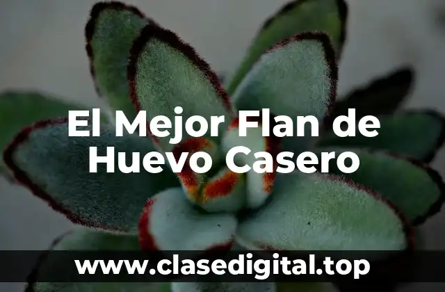 El Mejor Flan de Huevo Casero