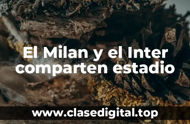 El Milan y el Inter comparten estadio