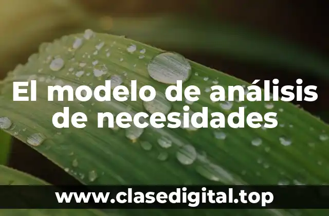 El modelo de análisis de necesidades