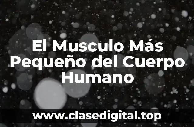 El Musculo Más Pequeño del Cuerpo Humano