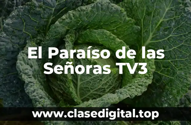 El Paraíso de las Señoras TV3