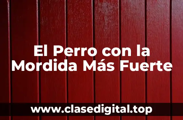 ¿Cuál es la Medida de la Fuerza de Mordida en los Perros?