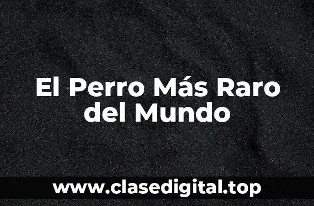 El Perro Más Raro del Mundo