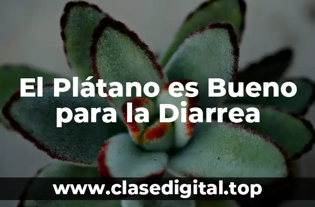 El Plátano es Bueno para la Diarrea