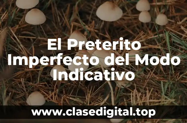 El Preterito Imperfecto del Modo Indicativo
