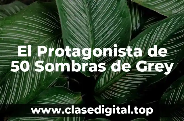 El Protagonista de 50 Sombras de Grey