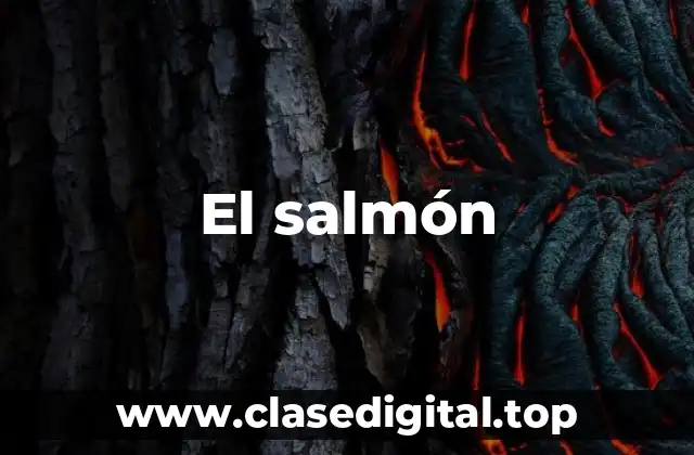 Características del salmón