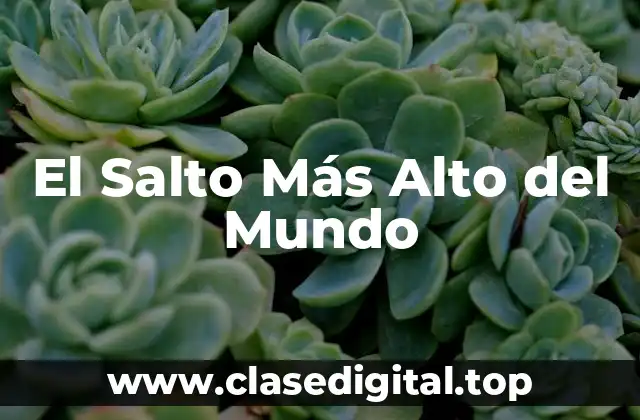 El Salto Más Alto del Mundo