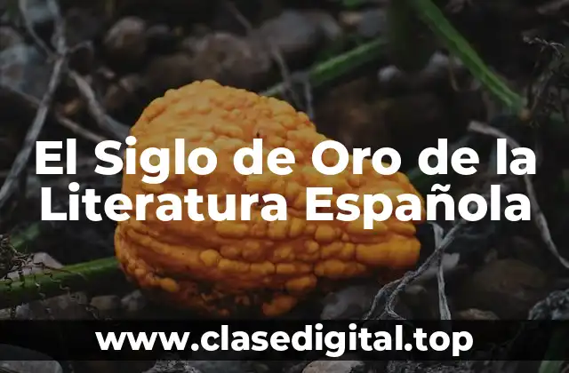 El Siglo de Oro de la Literatura Española