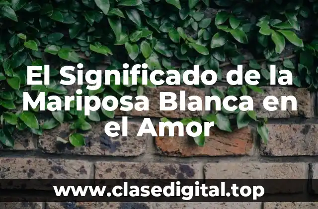 El Significado de la Mariposa Blanca en el Amor