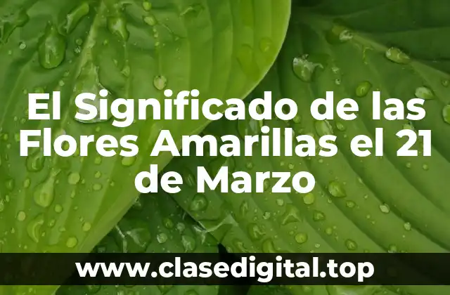 El Significado de las Flores Amarillas el 21 de Marzo