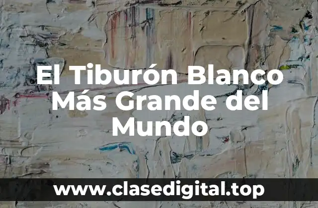 El Tiburón Blanco Más Grande del Mundo