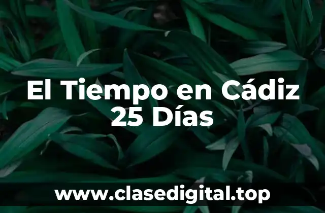 El Tiempo en Cádiz 25 Días