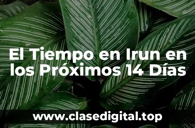 Análisis del Tiempo en Irun en los Últimos 14 Días