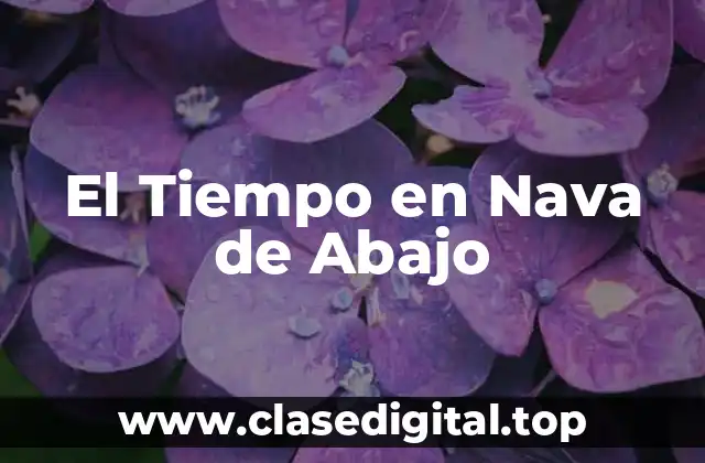 El Tiempo en Nava de Abajo