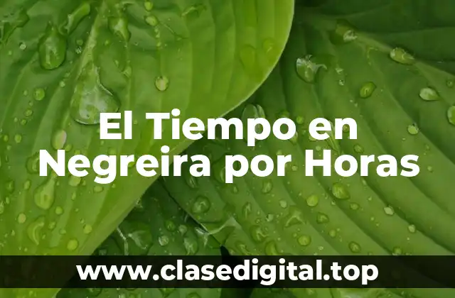 ¿Cuál es el Clima en Negreira?