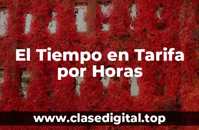 El Tiempo en Tarifa por Horas