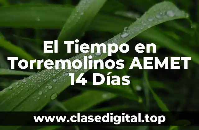 El Tiempo en Torremolinos AEMET 14 Días