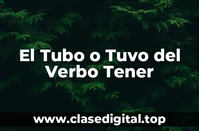 El Tubo o Tuvo del Verbo Tener