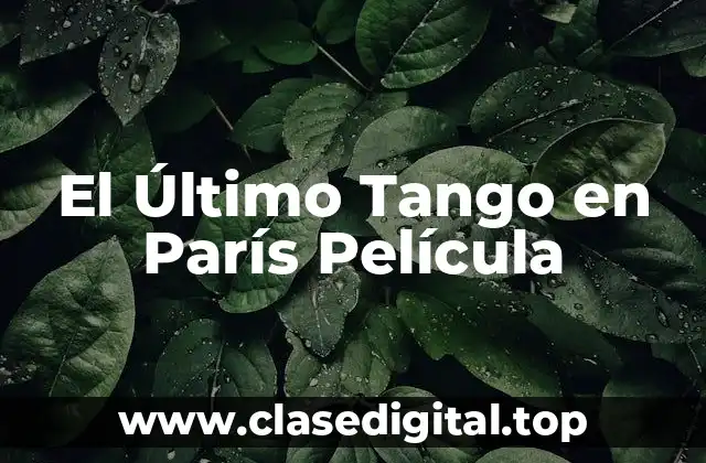 La Trama de El Último Tango en París Película