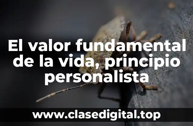 El valor fundamental de la vida, principio personalista