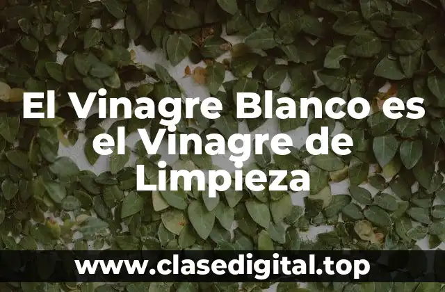 El Vinagre Blanco es el Vinagre de Limpieza