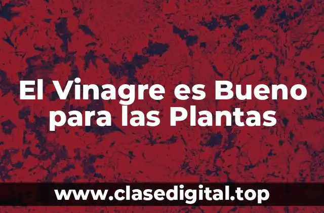 El Vinagre es Bueno para las Plantas