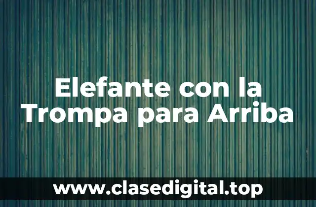 Elefante con la Trompa para Arriba