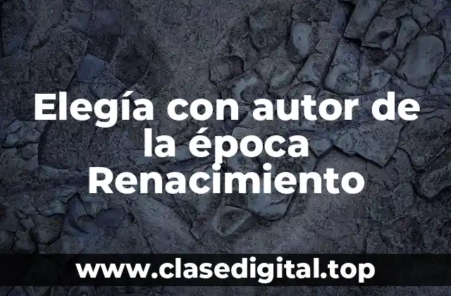 Elegía con autor de la época Renacimiento