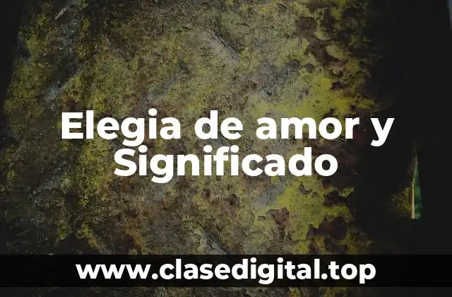 Elegia de amor y Significado
