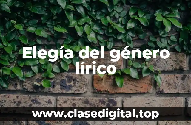 Elegía del género lírico