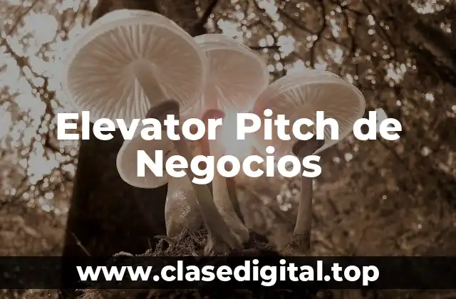 Elevator Pitch de Negocios