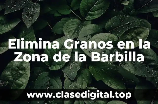 Elimina Granos en la Zona de la Barbilla