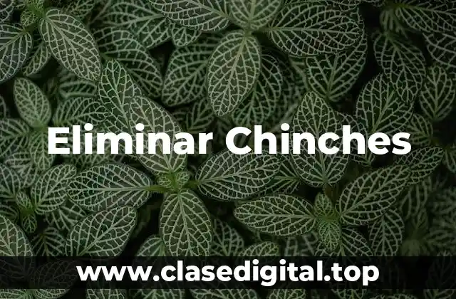 ¿Cómo Se Propagan las Chinches?