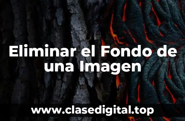 Eliminar el Fondo de una Imagen
