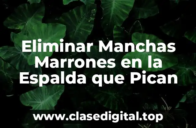 Eliminar Manchas Marrones en la Espalda que Pican