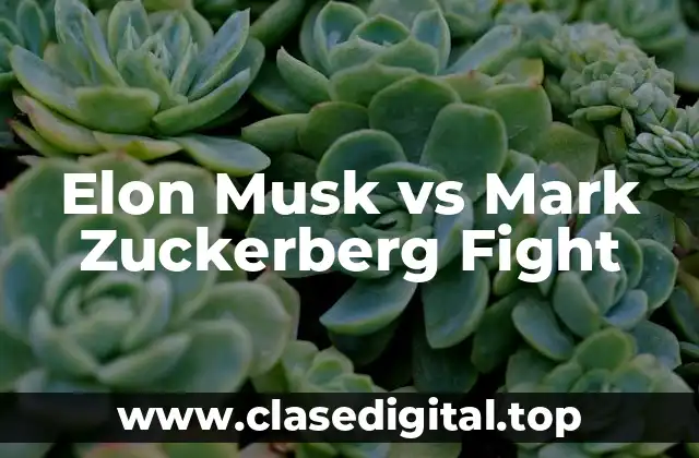 Elon Musk vs Mark Zuckerberg Fight