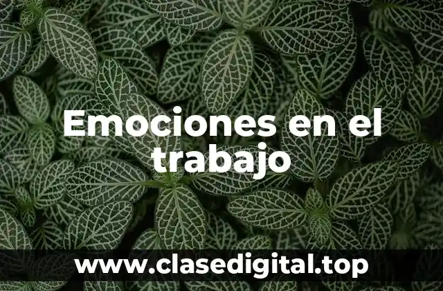Emociones en el trabajo