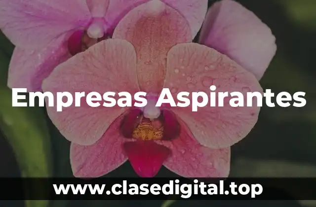 Empresas Aspirantes