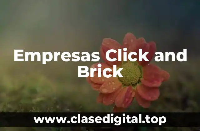 Empresas Click and Brick
