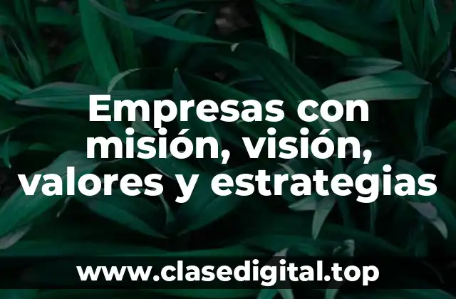 Empresas con misión, visión, valores y estrategias