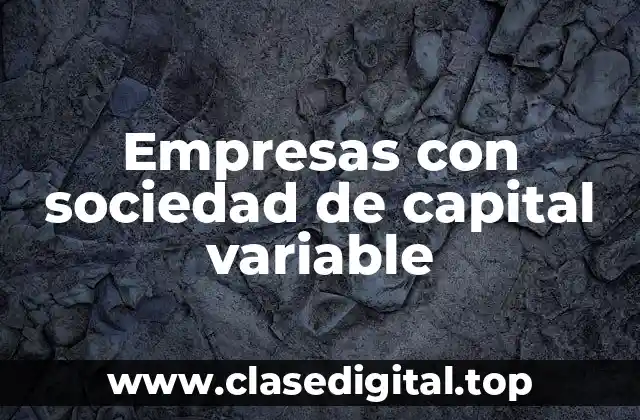 Empresas con sociedad de capital variable